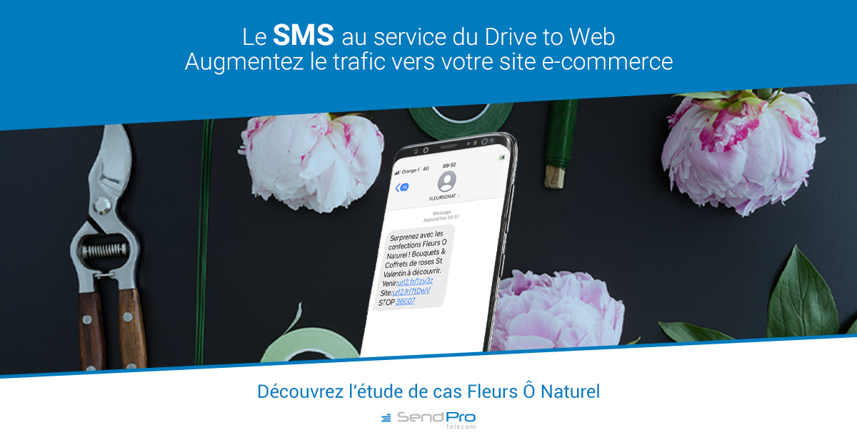 Etude de cas Drive-to-Web : Comment augmenter le trafic vers votre site e-commerce grâce au SMS Marketing ?