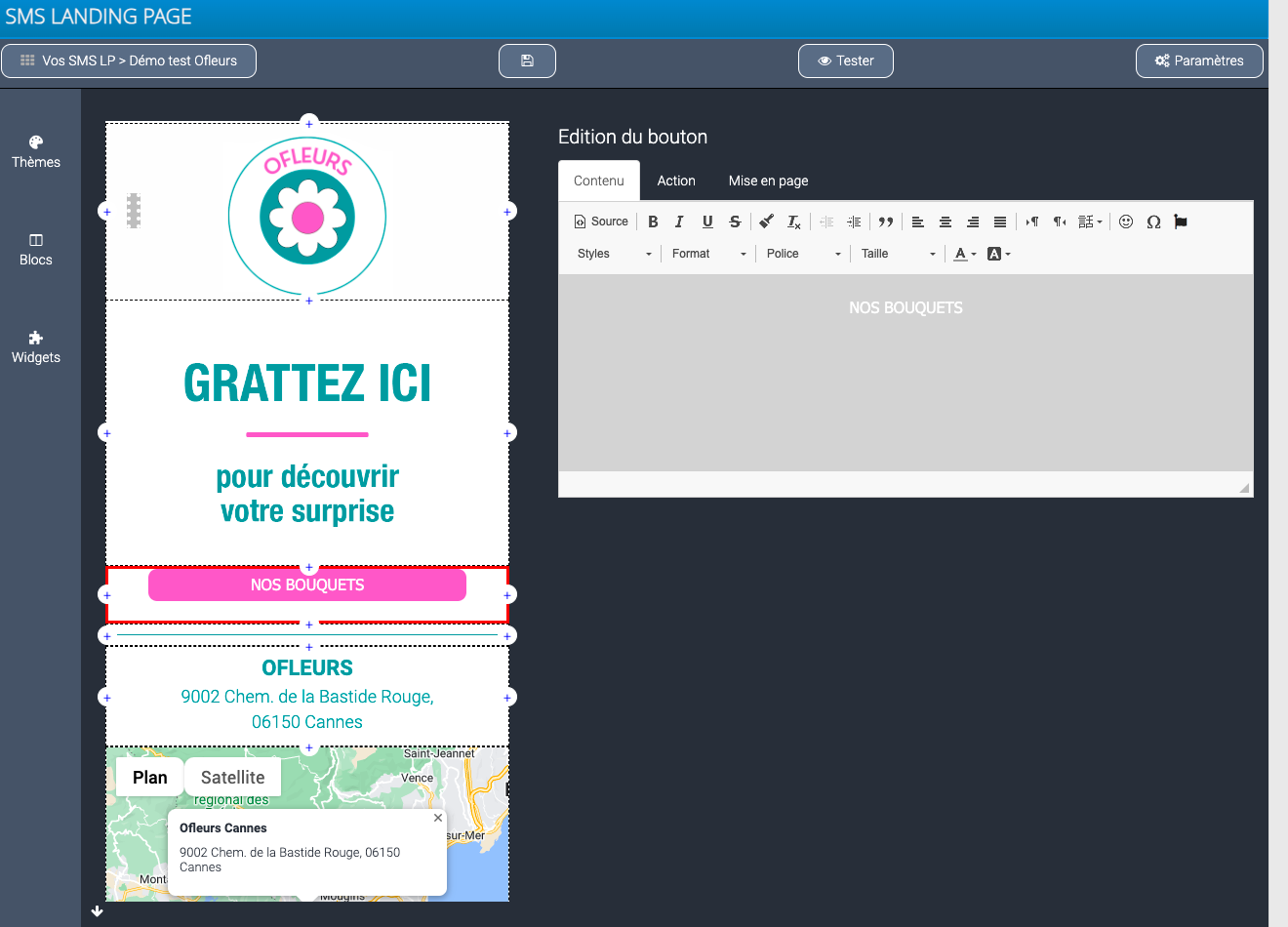 landing-page-mobile-sms